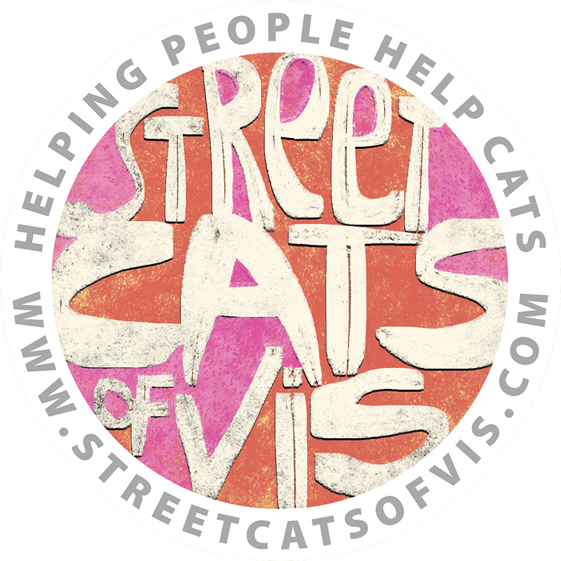 Street Cats of Vis