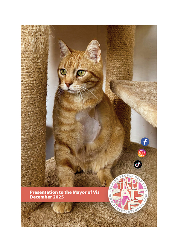 Street Cats of Vis : Helping People Help Cats