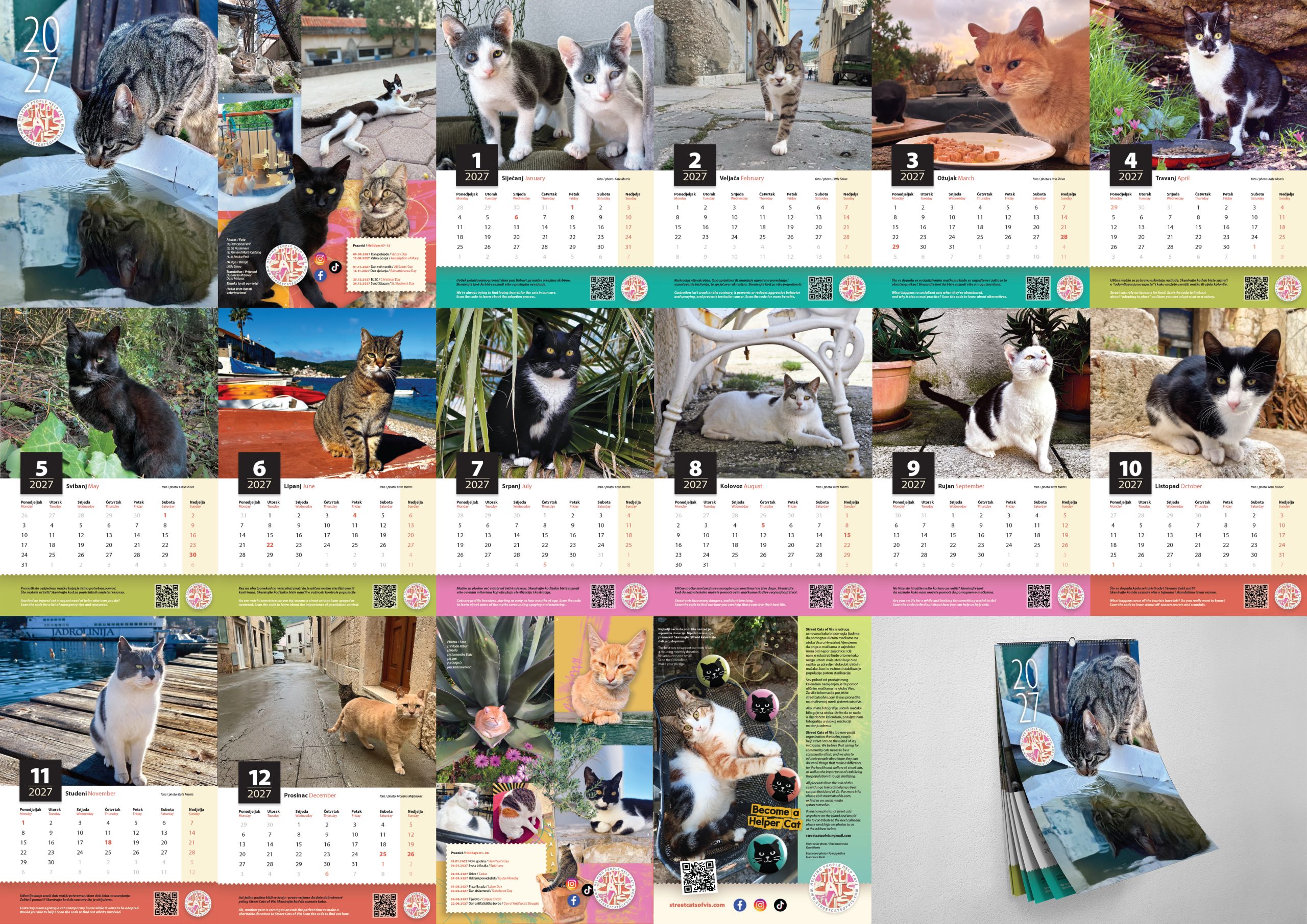 Street Cats of Vis: Helping People Help Cats